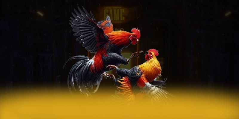 Điểm khác biệt của BET168 trên thị trường Điểm khác biệt của BET168 trên thị trường